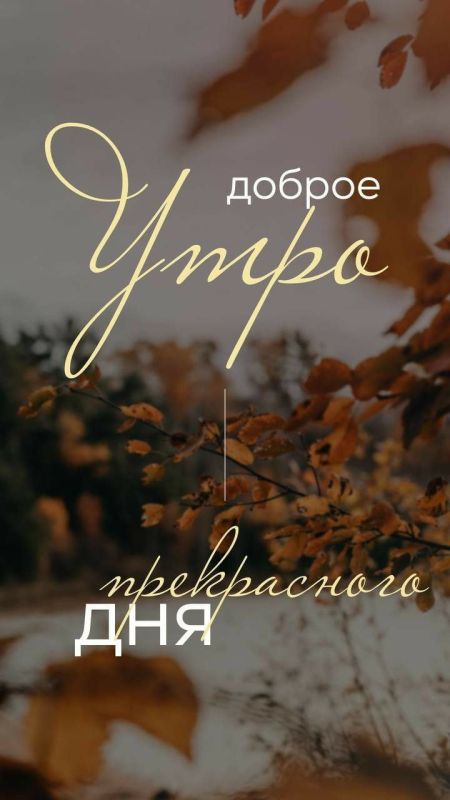 Доброе утро, Хабаровск!. 25 ноября пасмурная и холодная