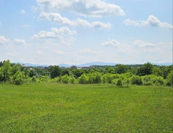 В Хабаровском крае прокуратура добилась истребования из незаконного владения земельного участка площадью около 10 тыс