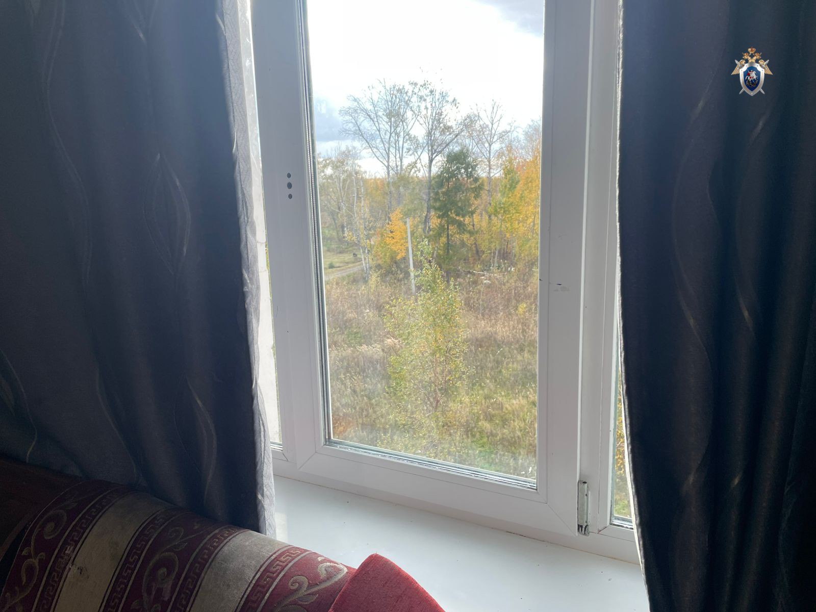 Жительница района имени Лазо предстанет перед судом по обвинению в причинении смерти по неосторожности Жительница района имени Лазо предстанет перед судом по обвинению в причинении смерти по неосторожности