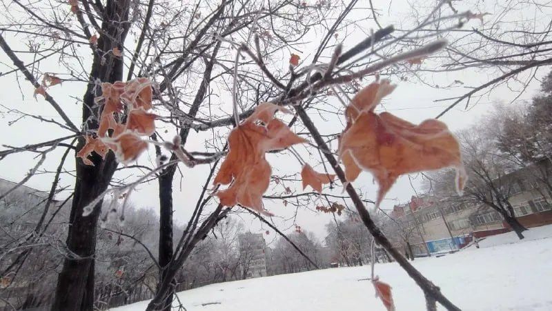 Хабаровск побелел от инея в ожидании нового циклона