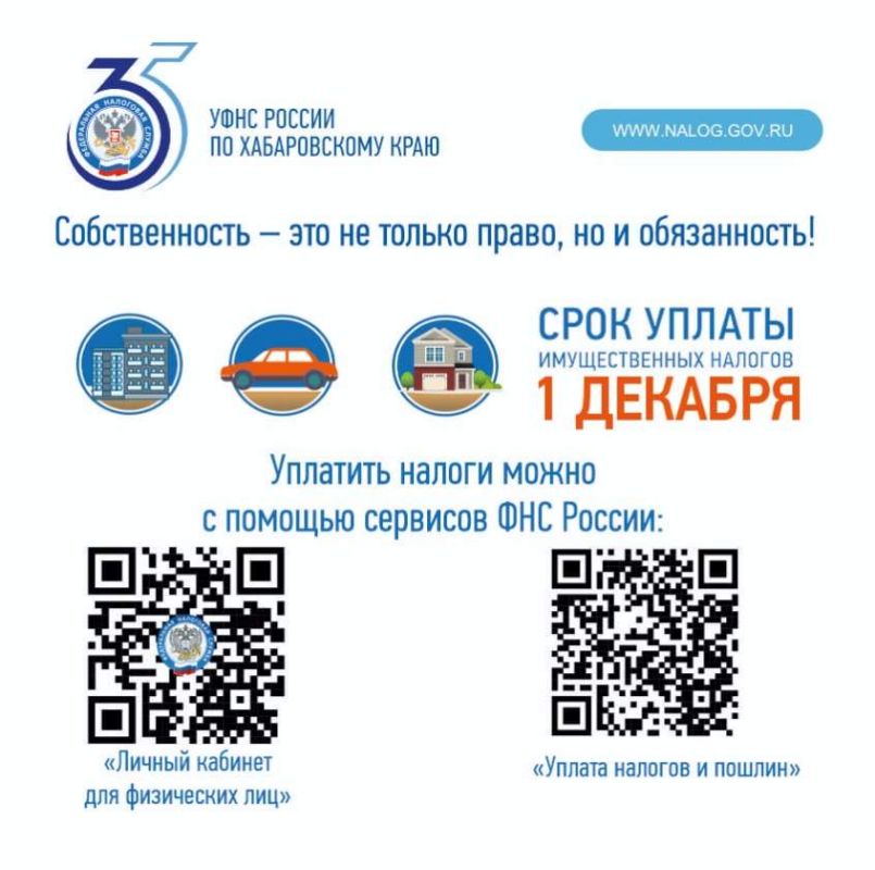 1 декабря – последний срок уплаты имущественных, транспортных и земельных налогов за 2024 год
