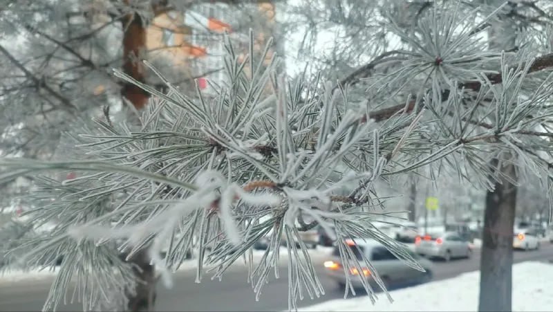 Хабаровск побелел от инея в ожидании нового циклона Хабаровск побелел от инея в ожидании нового циклона