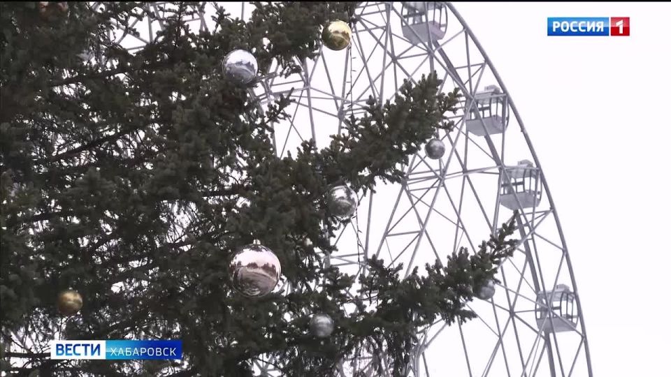 Смотрите в 21:10. В Хабаровске начали заливку катка на набережной стадиона имени Ленина