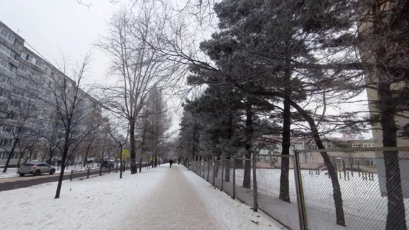 Хабаровск побелел от инея в ожидании нового циклона Хабаровск побелел от инея в ожидании нового циклона