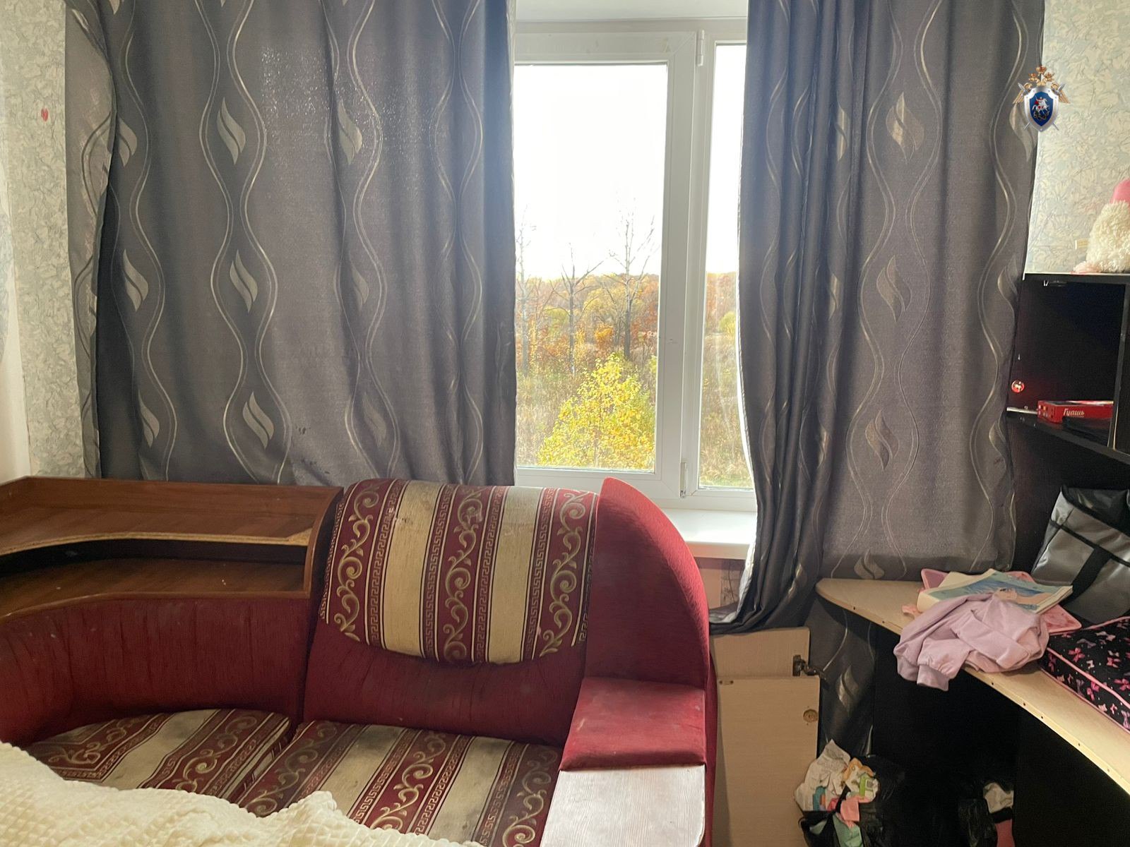 Жительница района имени Лазо предстанет перед судом по обвинению в причинении смерти по неосторожности Жительница района имени Лазо предстанет перед судом по обвинению в причинении смерти по неосторожности