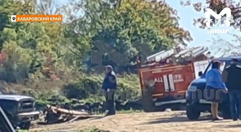 Вспышку африканской чумы пытались скрыть в Хабаровском крае