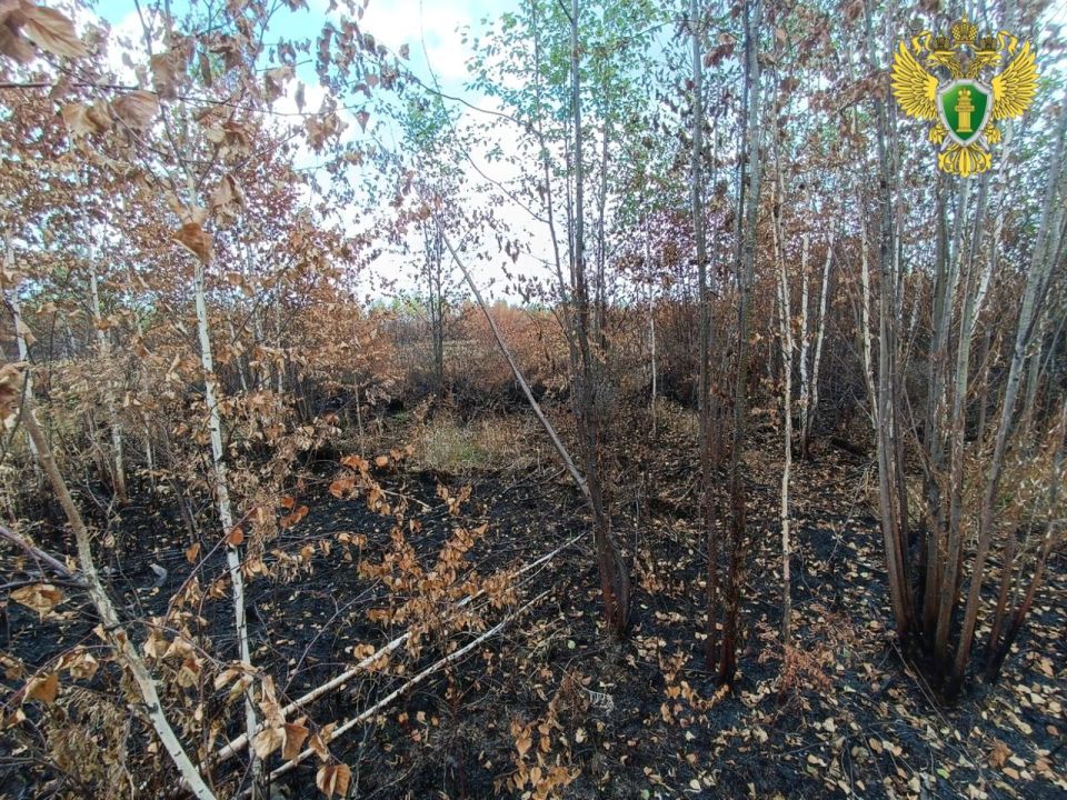 В Верхнебуреинском районе прокуратура добилась взыскания с виновников ландшафтных пожаров затрат на их тушение