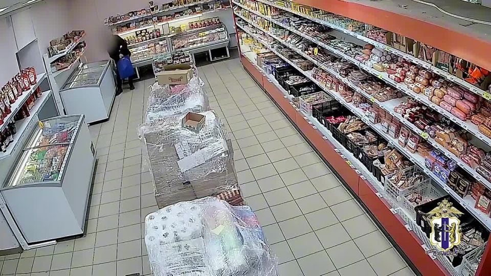 В городе Юности задержан мужчина без определенного места жительства, совершивший серию хищений продуктов питания