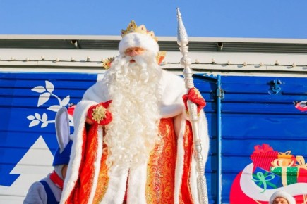 Дед Мороз на Новый 2026 год: сколько стоит вызвать волшебника в Хабаровске