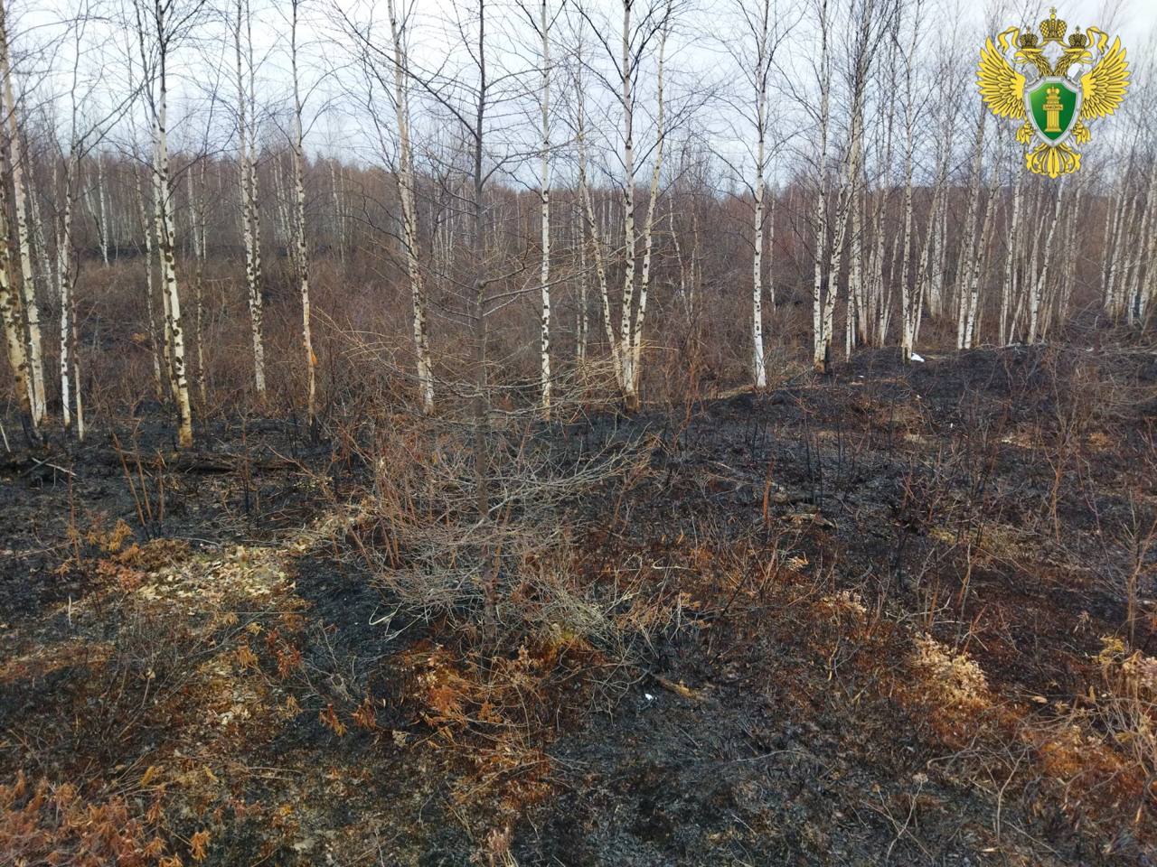 Жители Верхнебуреинского района выплатили компенсацию за возникший по их вине пожар Жители Верхнебуреинского района выплатили компенсацию за возникший по их вине пожар