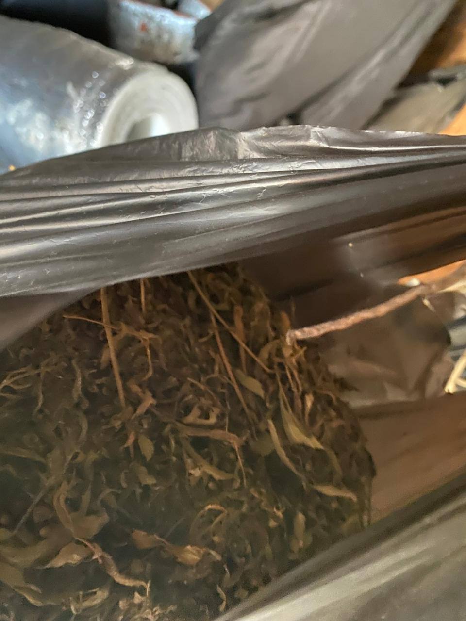 В Комсомольском районе полицейскими возбуждено уголовное дело о незаконном хранении наркотических средств и боевых патронов В Комсомольском районе полицейскими возбуждено уголовное дело о незаконном хранении наркотических средств и боевых патронов