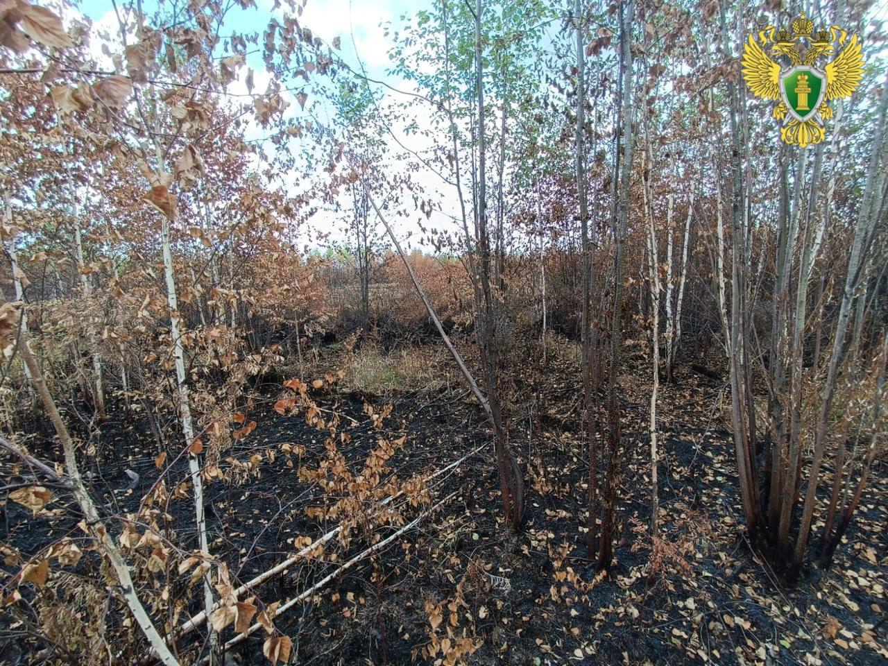 Жители Верхнебуреинского района выплатили компенсацию за возникший по их вине пожар