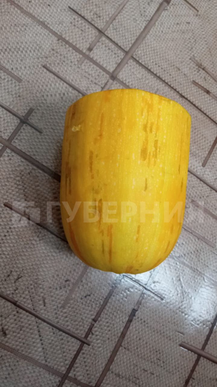 Проросший кабачок снял на видео хабаровчанин Проросший кабачок снял на видео хабаровчанин