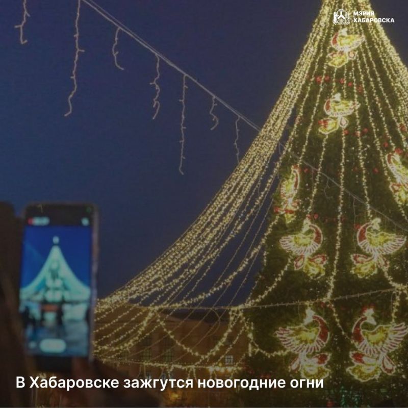 В Хабаровске зажгутся новогодние огни