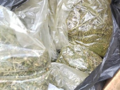 В Амурске осужден сельчанин за хранение растительных наркотиков