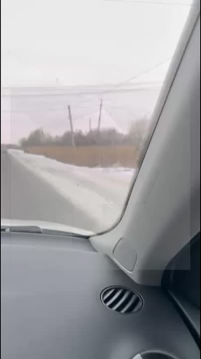 Тигр вышел "ловить попутку" к автотрассе и очень удивил жителей Хабаровска