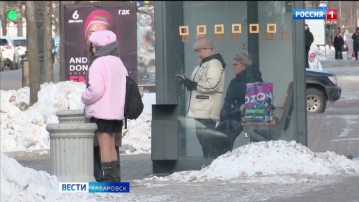 С начала года жертвами интернет-преступниками стали почти три тысячи жителей Хабаровского края