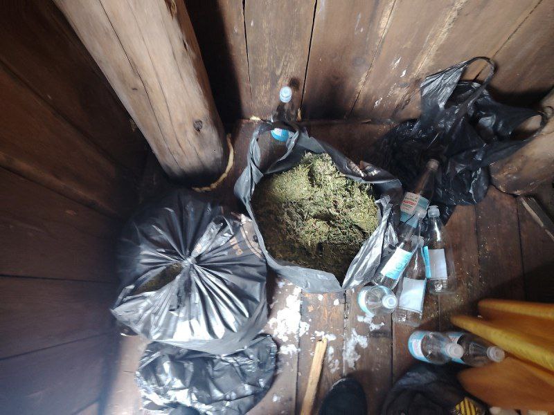 В Амурске полицейские изъяли из незаконного оборота больше 3 килограммов марихуаны