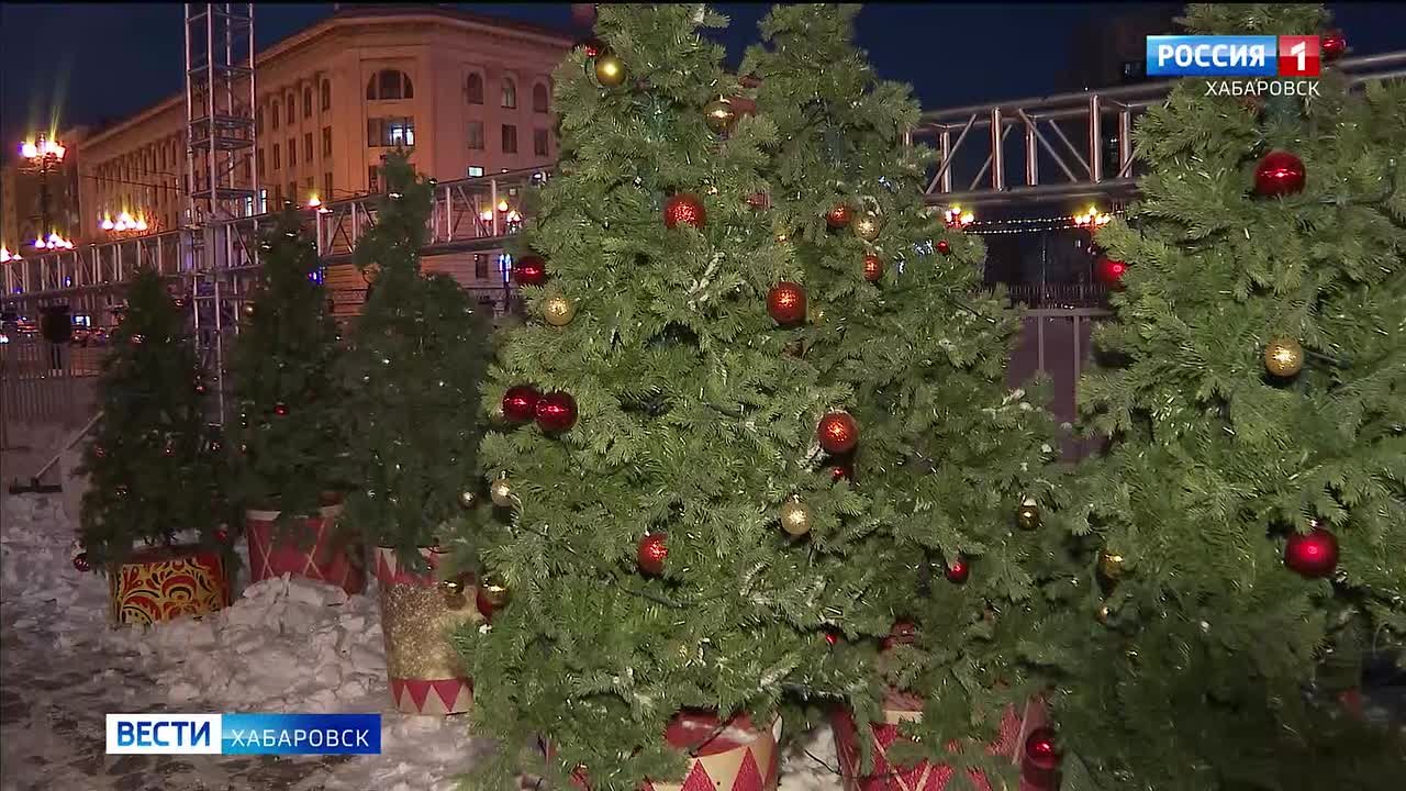 На главной новогодней ёлке Хабаровского края зажгли праздничные огни