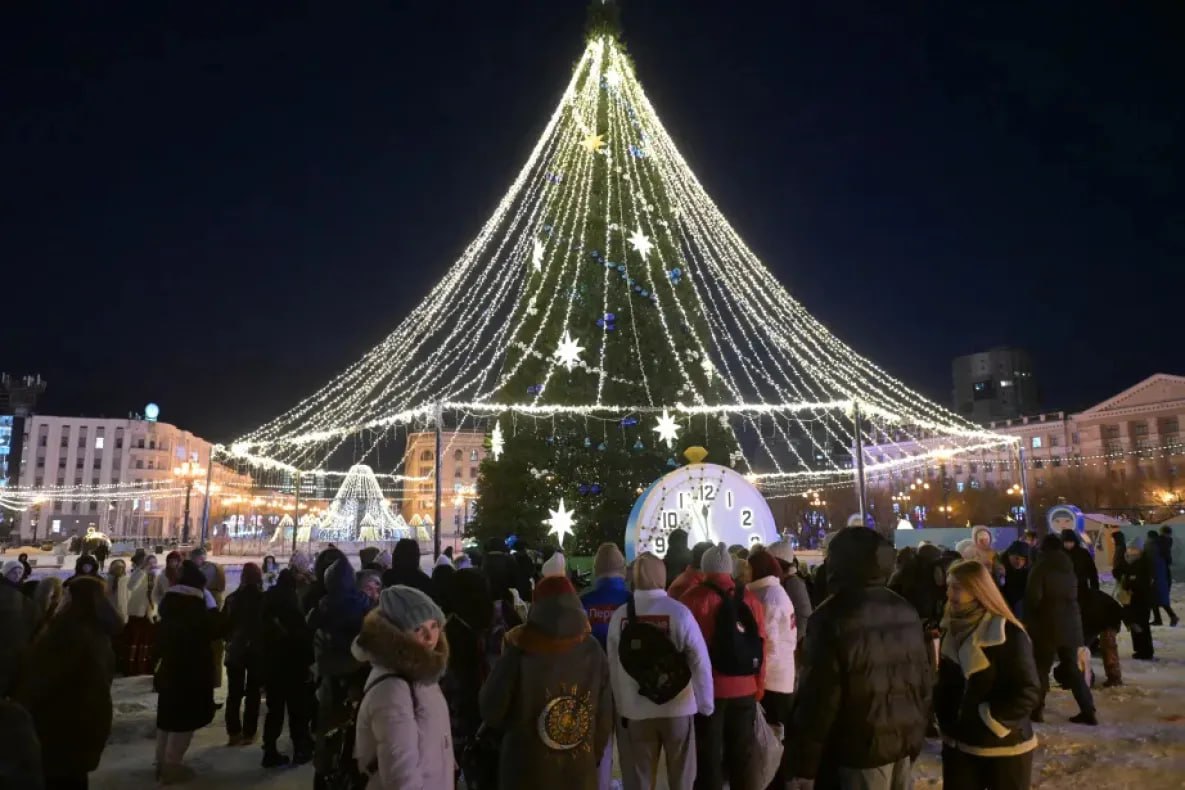 Главная новогодняя ель края зажглась огнями в Хабаровске