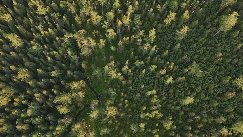 «Хранители Ольджиканского»: фильм о людях, охраняющих дикую природу Хабаровского края