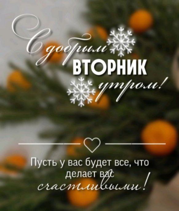 Доброе утро, Хабаровск!. В прогнозе на 2 декабря зябкая пасмурная погода