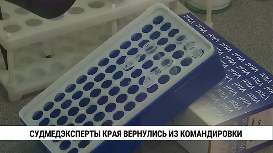 Судмедэксперты Хабаровского края вернулись из очередной командировки, где побывали в ДНР, ЛНР, Херсонской и Запорожской областях