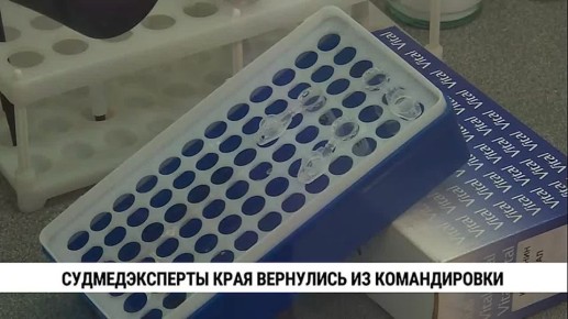 Судмедэксперты Хабаровского края вернулись из очередной командировки, где побывали в ДНР, ЛНР, Херсонской и Запорожской областях