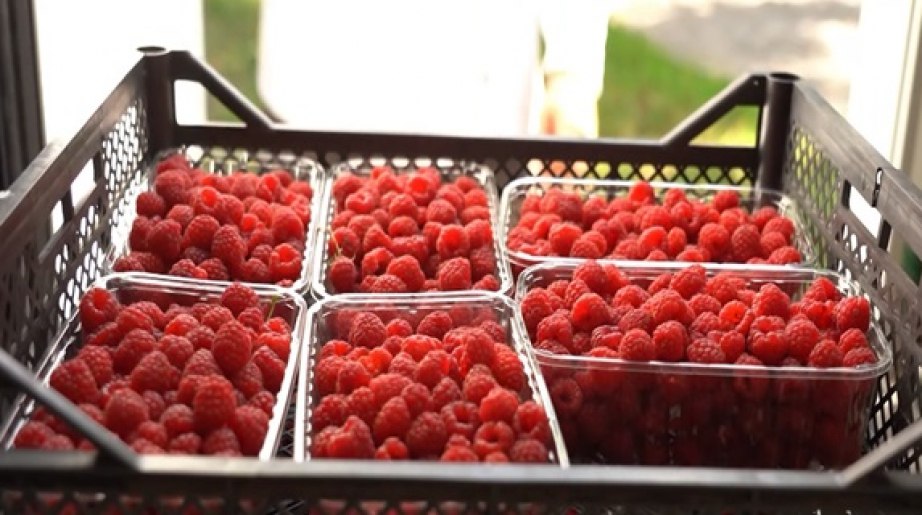 «Гектары» успешно осваивают жители и предприниматели в Хабаровском крае «Гектары» успешно осваивают жители и предприниматели в Хабаровском крае