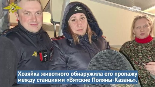 Ирина Волк показала кадры вызволения кота Федоса, ставшего знаменитостью в Сети
