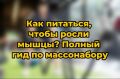 Как правильно питаться для наращивания мышечной массы: идеальное руководство