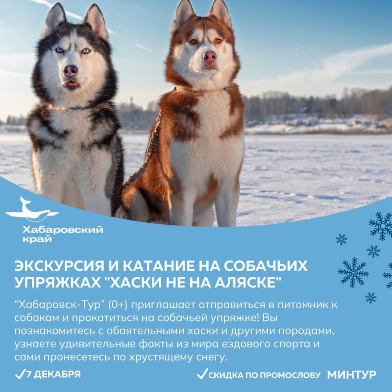 Прокатиться на собачьих упряжках и поучаствовать в народных гуляниях зовут жителей и гостей Хабаровского края в эти выходные