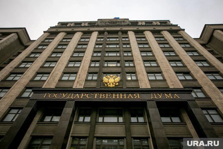 Повышение НДС в России: новые ставки и меры поддержки бизнеса