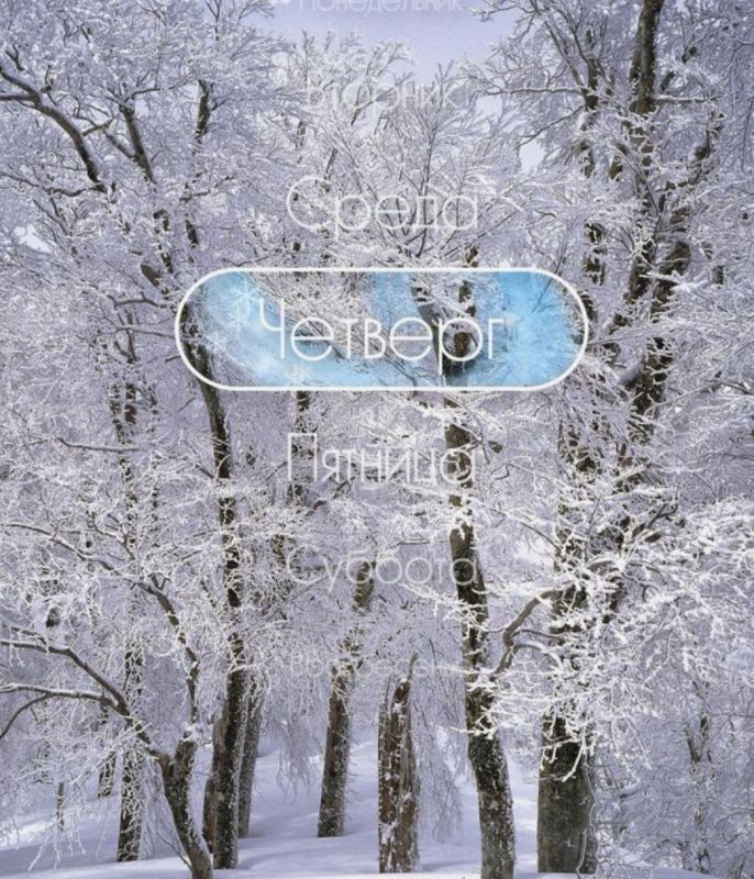 Доброе утро, Хабаровск!. 4 декабря днем погода ясная и холодная