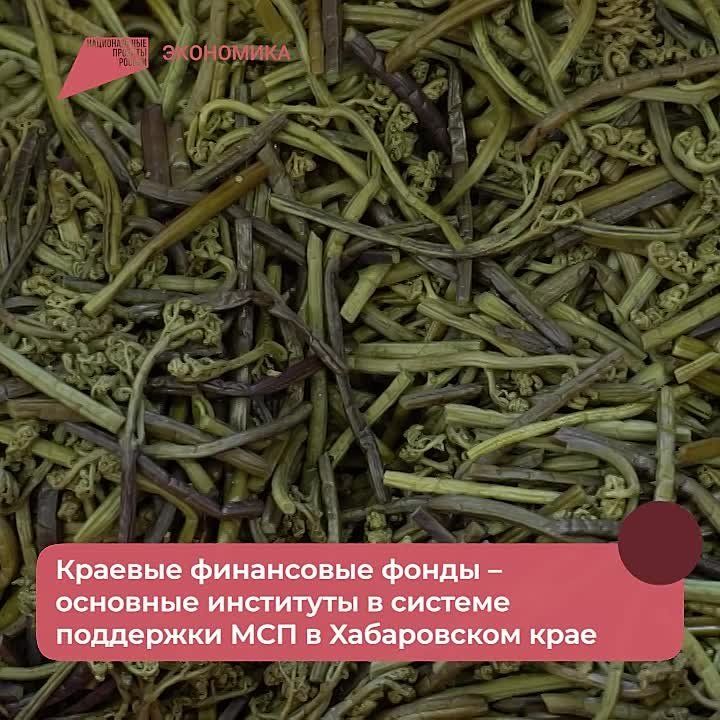 Новое оборудование получит молодое сельхозпредприятие