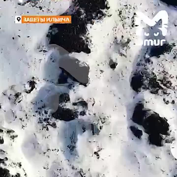 ���� �������� � ������� ������������ ���� ��-�� ����� ���������