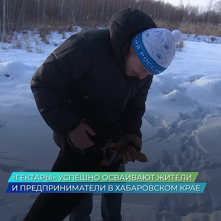 «Гектары» успешно осваивают жители и предприниматели в Хабаровском крае