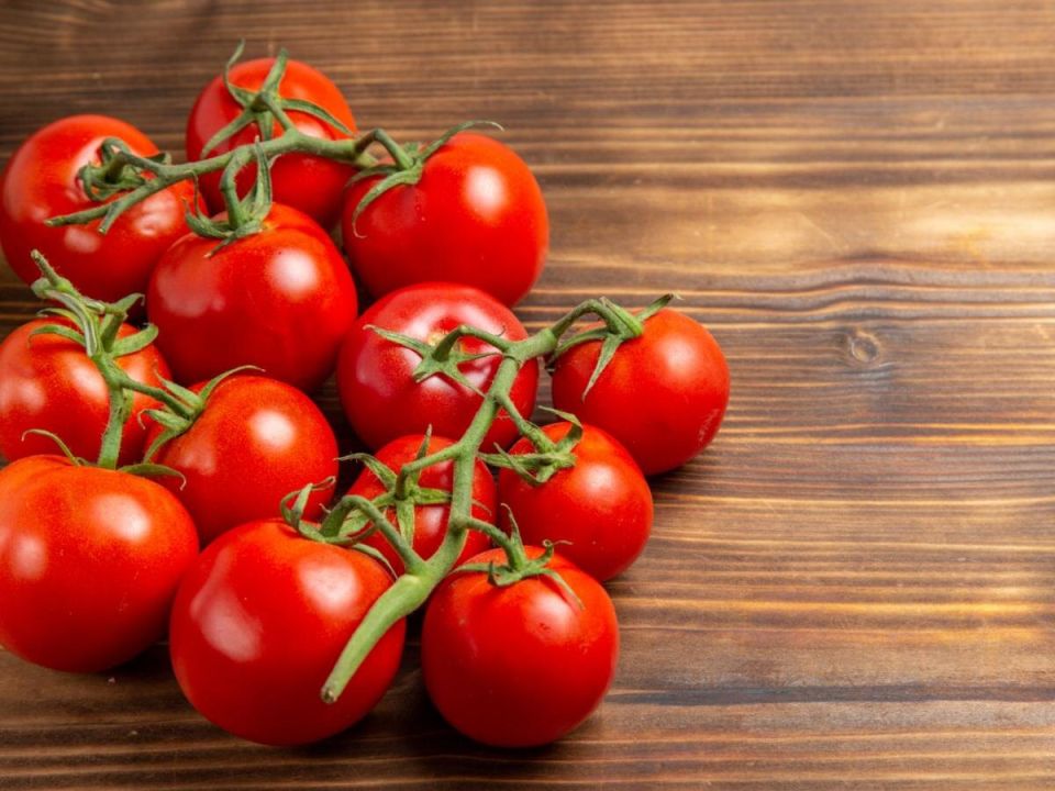 Почему дырки в помидорах – это всего лишь начало проблемы: кто поедает ваш урожай?