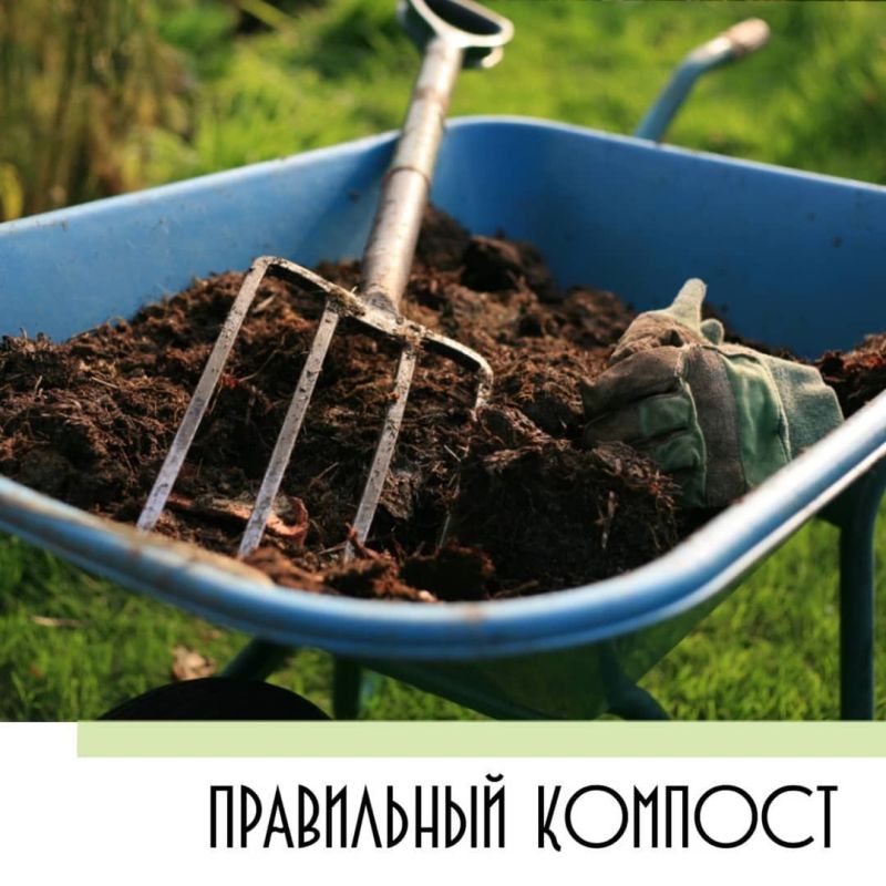 Пять ошибок, которые превращают компост в яд для вашей почвы