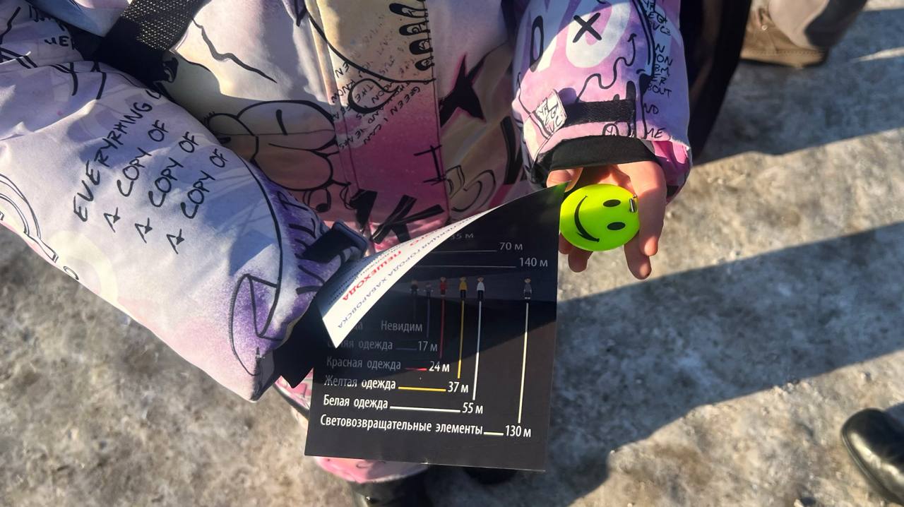 Сотрудники Госавтоинспекции города Хабаровска провели профилактическую акцию с пешеходами Сотрудники Госавтоинспекции города Хабаровска провели профилактическую акцию с пешеходами