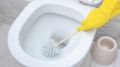Как эффективно бороться с желтым налетом в унитазе: секреты чистоты