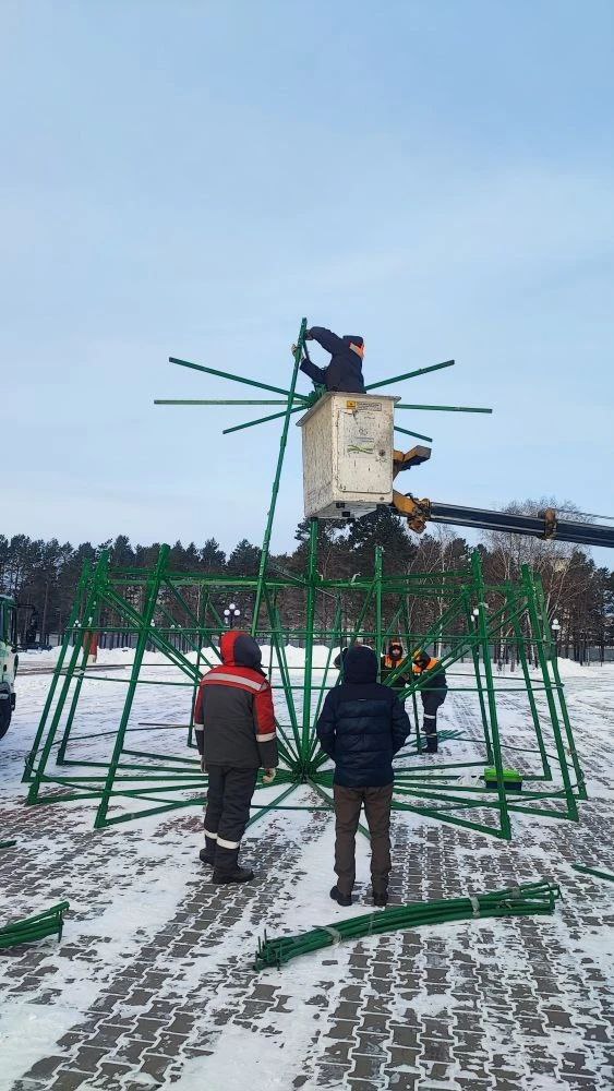 Новогодние ёлки начали устанавливать в Комсомольске