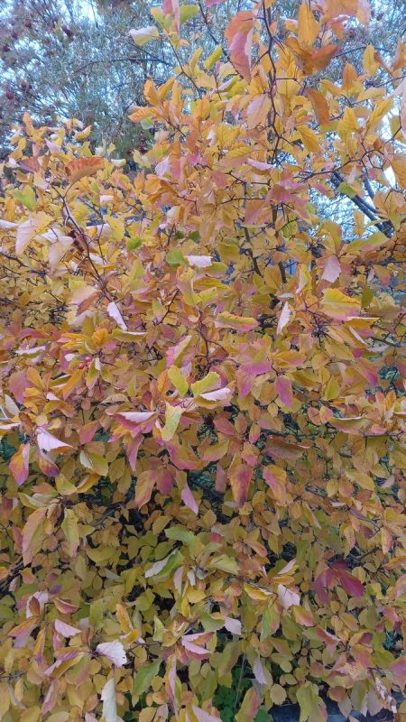 Бабушки в 80 лет: что стоит за работой с метлой в магазинах?