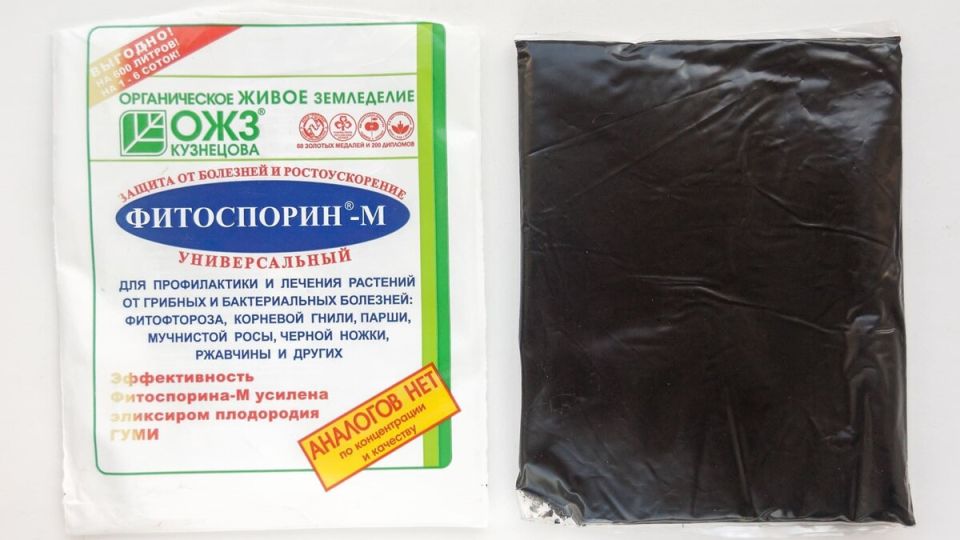 Фитоспорин: секреты эффективного разведения и применения