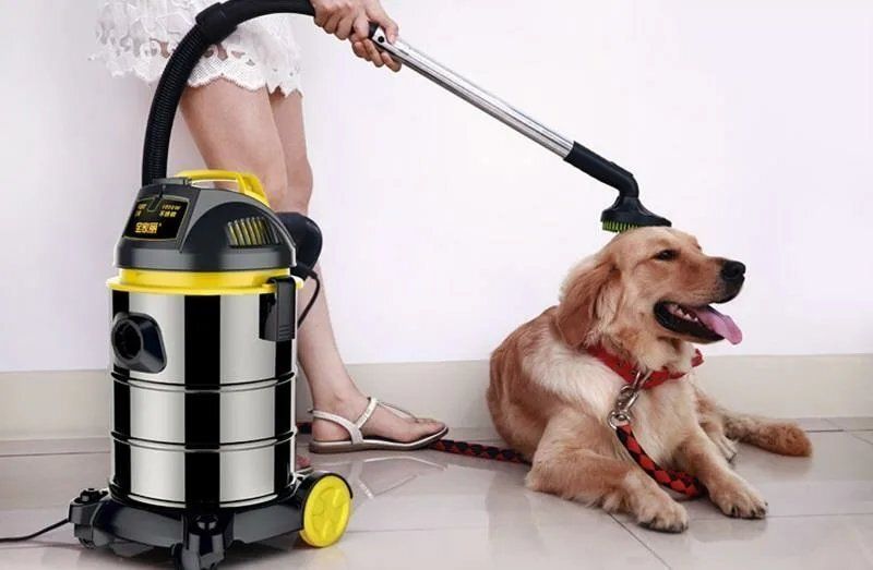 8 удивительных способов использования пылесоса, о которых вы не подозревали