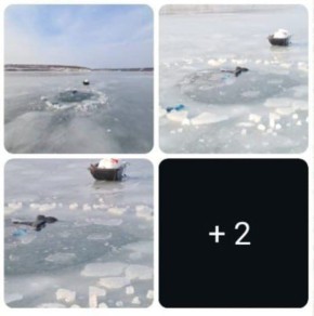 13-летний подросток утонул в Советской Гавани