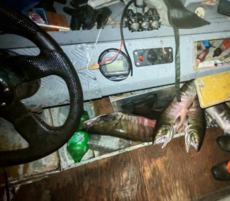 В Амурском районе сотрудники полиции направили в суд два уголовных дела о незаконной добыче красной рыбы