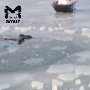 ��������� ������� � ������� �������� �� ���������� ���� � ����������� ����