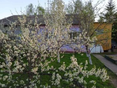 Губернатор Демешин привлёк 445 млн на ипотеку для многодетных в Хабаровском крае