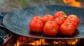 Почему жареные помидоры стоит добавить в свой рацион: полезные свойства и простые рецепты